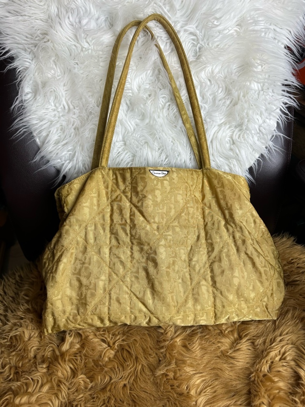 Christian Dior Trotter Tote